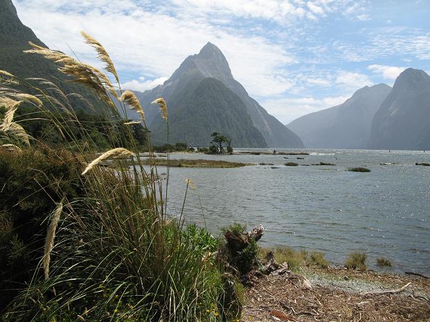 New Zealand Travel Guide